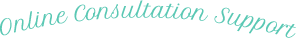 Online Consultation Support