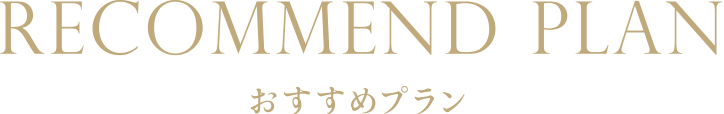 おすすめプラン