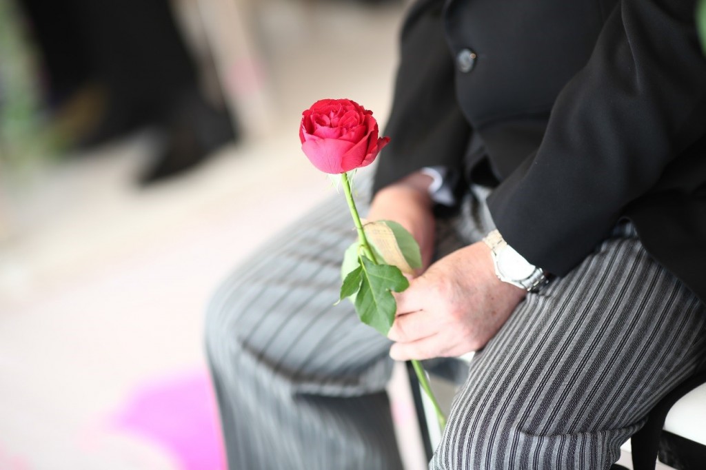 【BLOG】ダーズンローズ