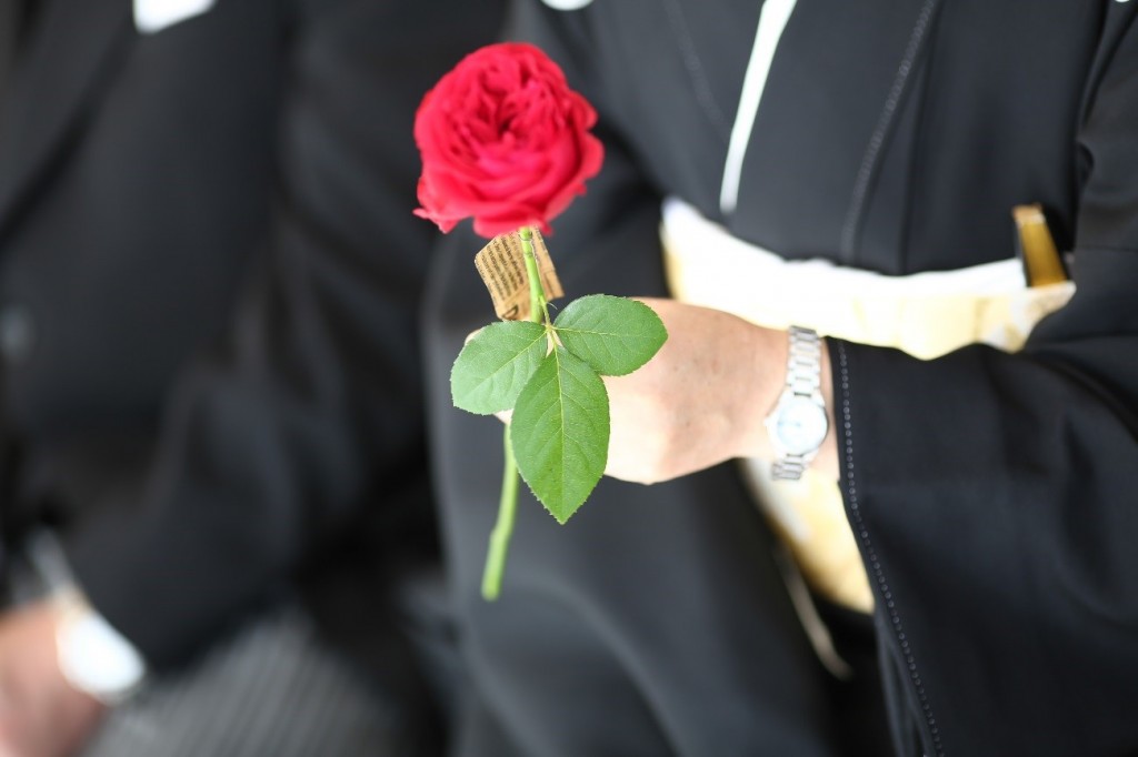 【BLOG】ダーズンローズ