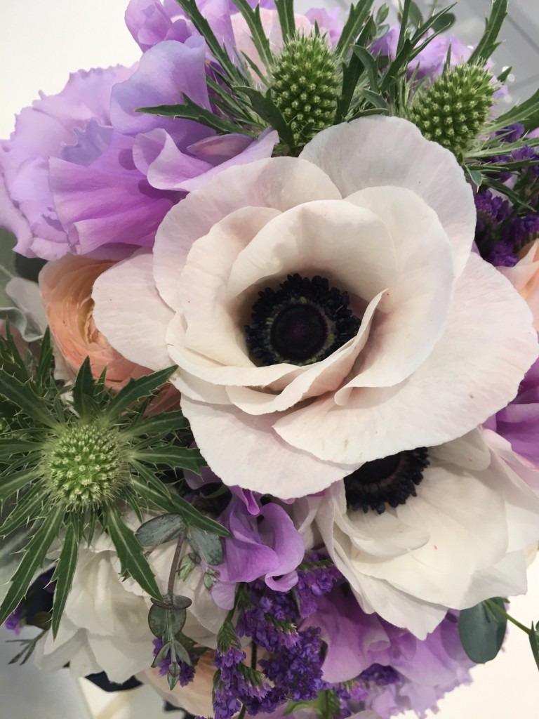 【BLOG】花言葉　神話や伝説に登場するアネモネ