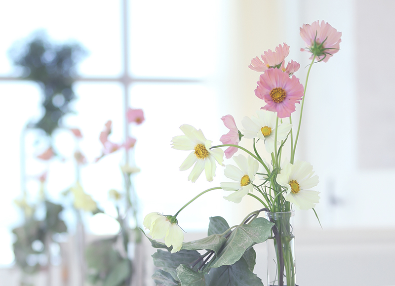 バージンロードは過去から未来へと繋がる花嫁の道